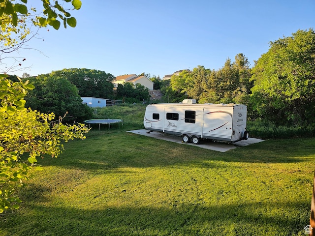 11905 E 24560 N, Fairview, UT 84629 - view of yard with a trampoline