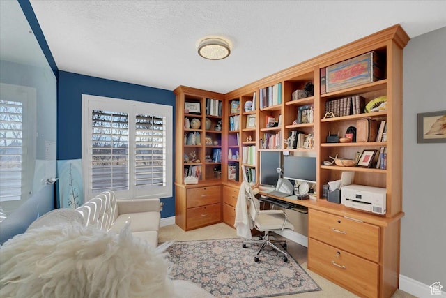 818 Summit Dr, Smithfield, UT 84335 - office space featuring light carpet, a textured ceiling, and baseboards
