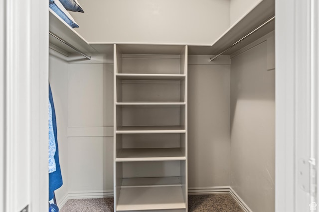 655 W 85 S, Glenwood, UT 84730 - view of spacious closet