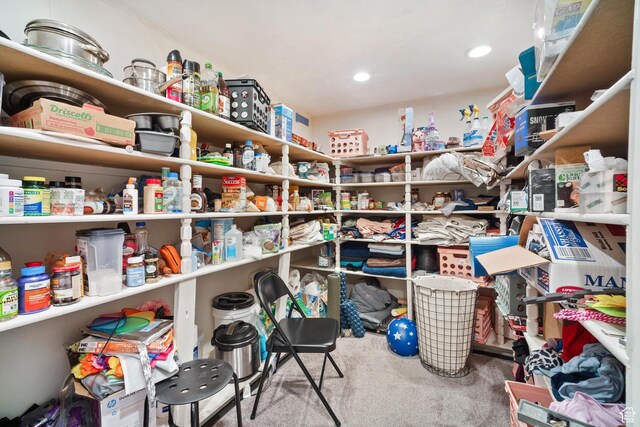 1975 Laguna Vista Dr, Orem, UT 84058 - view of storage room