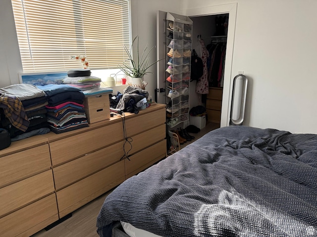 bedroom with a closet