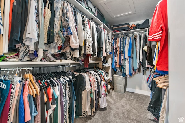 3937 W 1850 N, Lehi, UT 84043 - walk in closet featuring carpet