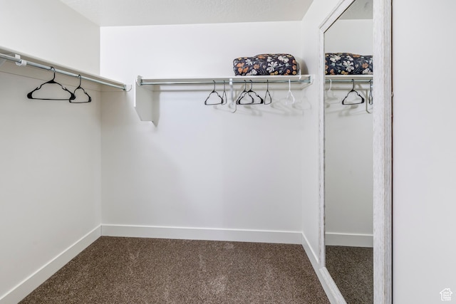 156 E Sailors Way Unit 11, Garden City, UT 84028 - walk in closet with carpet flooring