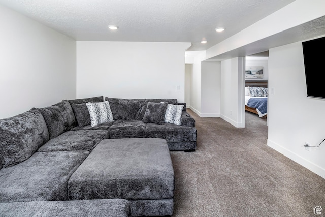 156 E Sailors Way Unit 11, Garden City, UT 84028 - living room with carpet floors and a textured ceiling