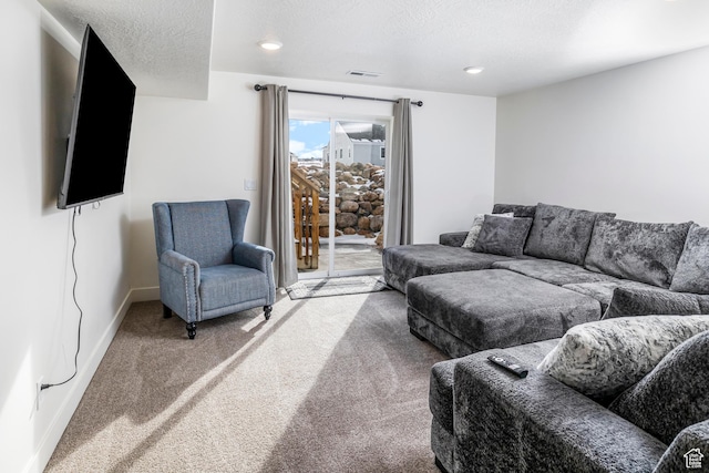 156 E Sailors Way Unit 11, Garden City, UT 84028 - living room with a textured ceiling and carpet flooring