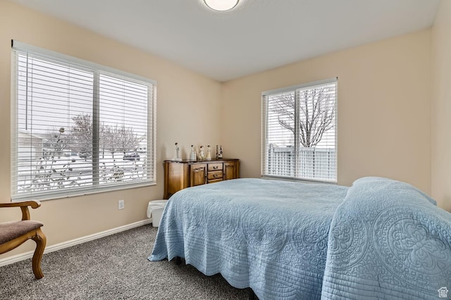 bedroom featuring carpet