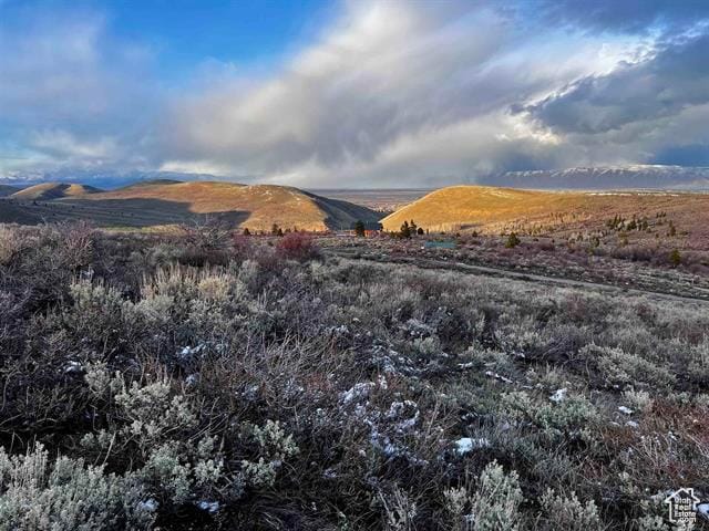 1 Jacobs Canyon Rd, Saint Charles, ID 83272 - photo 26