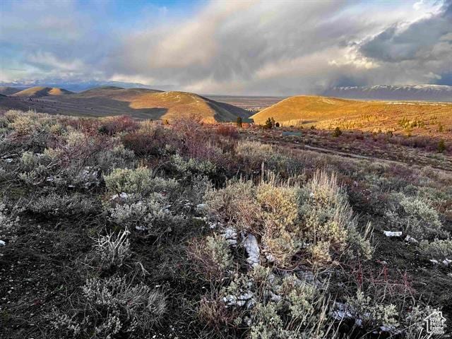 1 Jacobs Canyon Rd, Saint Charles, ID 83272 - photo 29