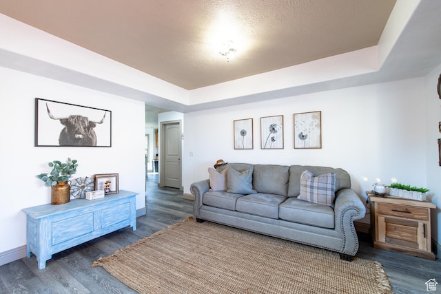living room featuring dark wood-type flooring and a raised ceiling
