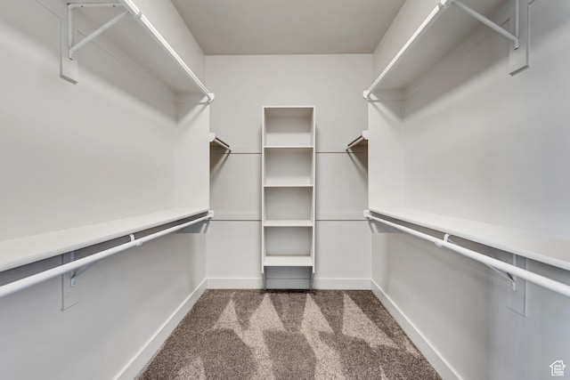 4024 W 2875 N, Plain City, UT 84404 - walk in closet featuring dark colored carpet