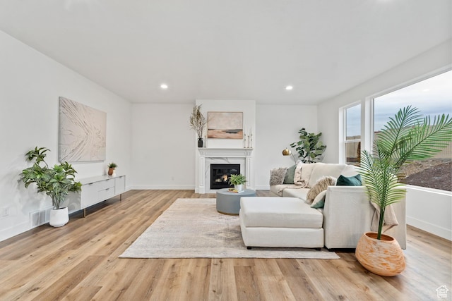 3559 S Garibaldi Way, Saratoga Springs, UT 84045 - living room with a premium fireplace and light wood-type flooring
