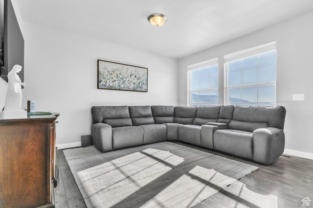 living room featuring hardwood / wood-style floors