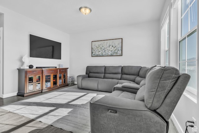 living room featuring hardwood / wood-style floors and a wealth of natural light