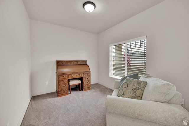 1054 S 1050 W, Tooele, UT 84074 - office with carpet and baseboards
