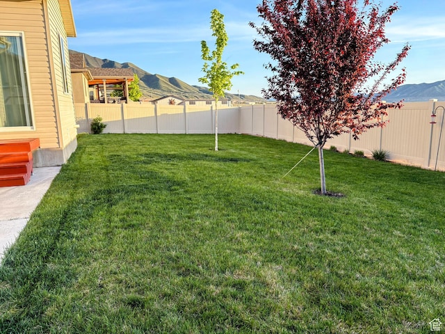 1054 S 1050 W, Tooele, UT 84074 - view of yard featuring a mountain view