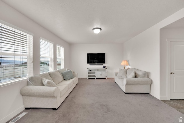 1054 S 1050 W, Tooele, UT 84074 - carpeted living room featuring baseboards