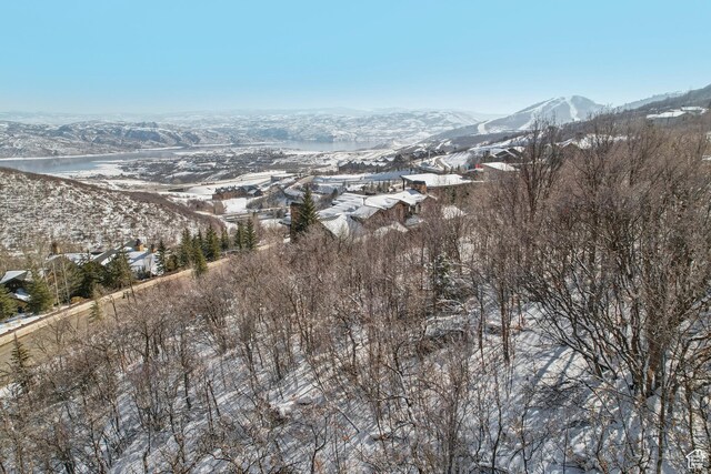 2721 Deer Hollow Rd, Heber City, UT 84032 - photo 21