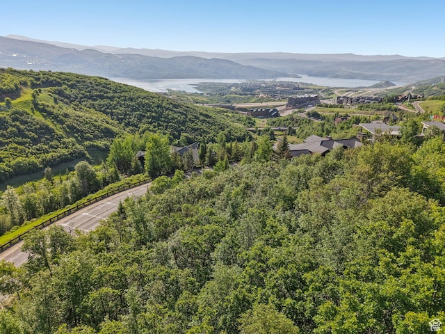 2721 Deer Hollow Rd, Heber City, UT 84032 - photo 5