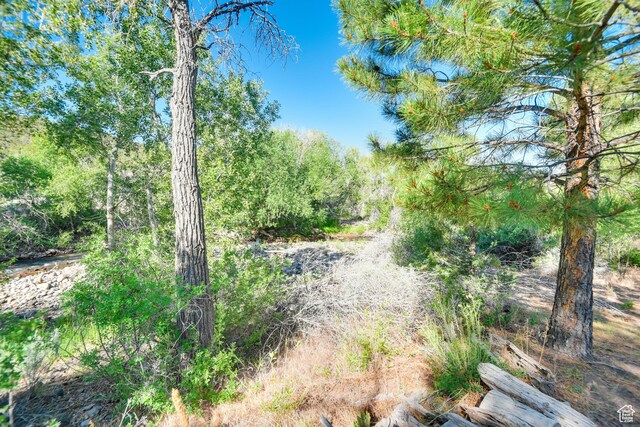 2690 E Hwy 153, Beaver, UT 84713 - view of local wilderness
