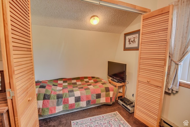 2690 E Hwy 153, Beaver, UT 84713 - bedroom with carpet flooring, a textured ceiling, baseboard heating, and a closet