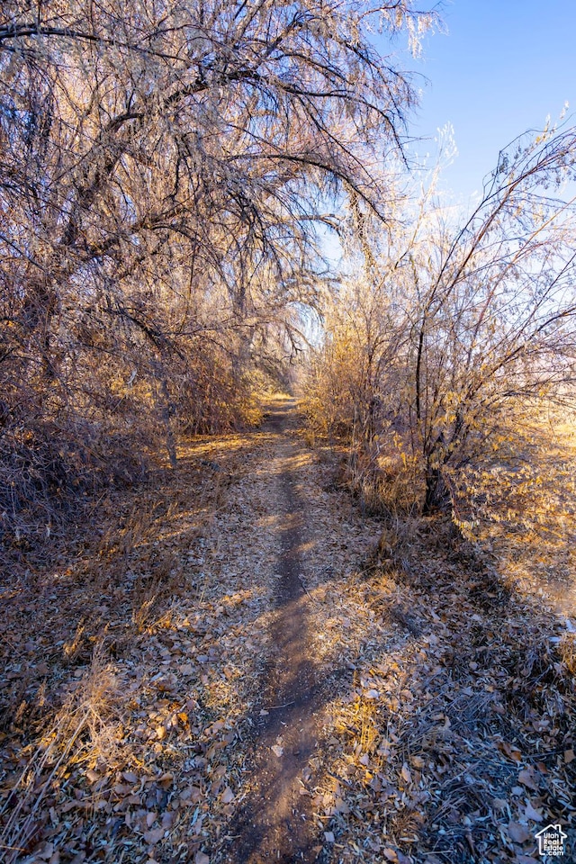276 E 3000 S, Price, UT 84501 - photo 33