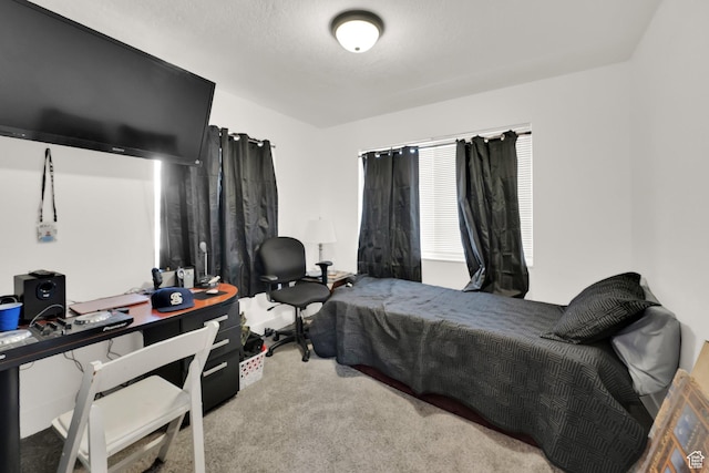 870 E Vics Rd, Sandy, UT 84094 - view of carpeted bedroom