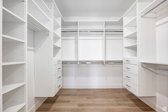 walk in closet featuring light hardwood / wood-style flooring