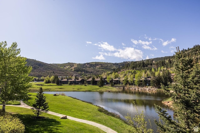 1428 N Deer Valley Dr, Park City, UT 84060 - water view with a mountainous background