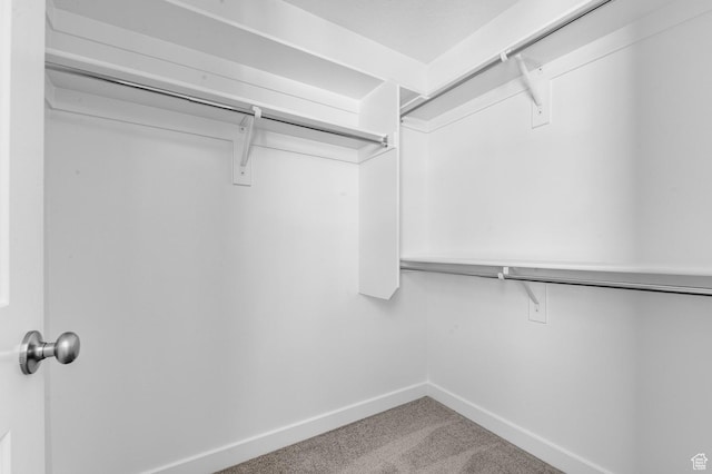 walk in closet with carpet flooring