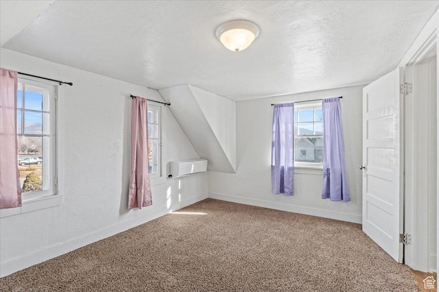 additional living space featuring vaulted ceiling, carpet flooring, and a textured ceiling