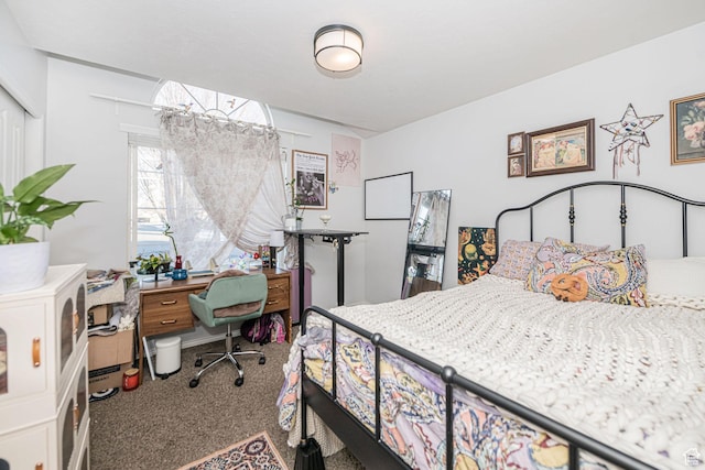 12138 S Willmar Cir, Riverton, UT 84065 - bedroom with carpet flooring