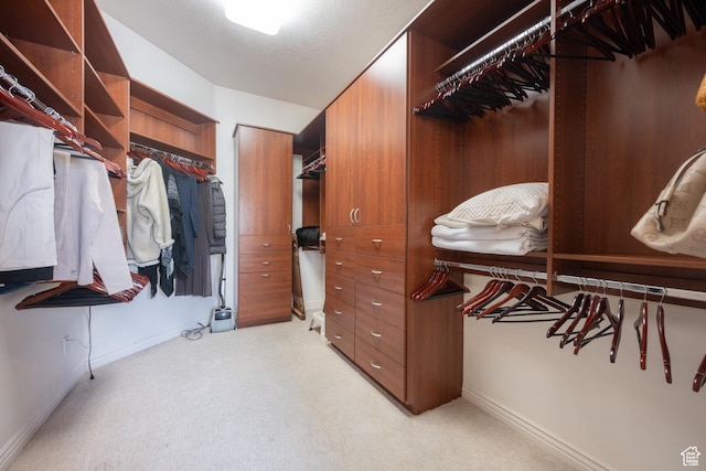 spacious closet featuring light colored carpet