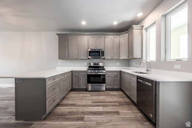 kitchen with stainless steel appliances, gray cabinets, and kitchen peninsula