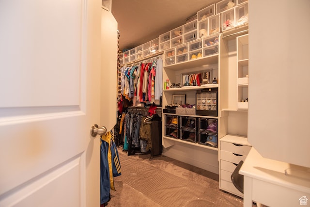 324 S Hayes Well Ln, Saratoga Springs, UT 84045 - view of walk in closet