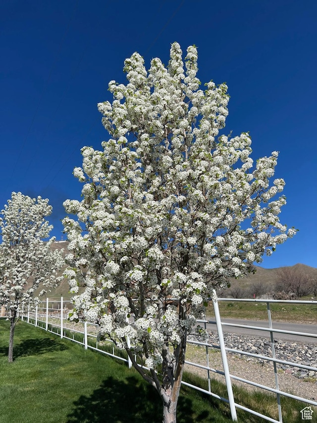 6007 W 8000 S, Payson, UT 84651 - view of yard featuring a rural view, a mountain view, and fence