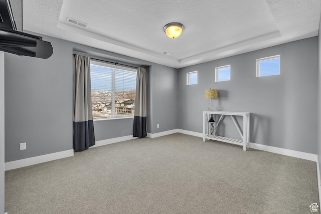 2144 S 120 E, Heber City, UT 84032 - spare room featuring a raised ceiling, a textured ceiling, and carpet