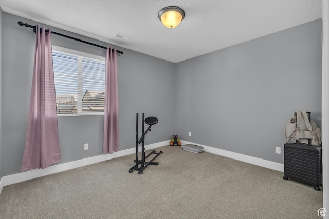 2144 S 120 E, Heber City, UT 84032 - exercise area featuring carpet floors and a textured ceiling