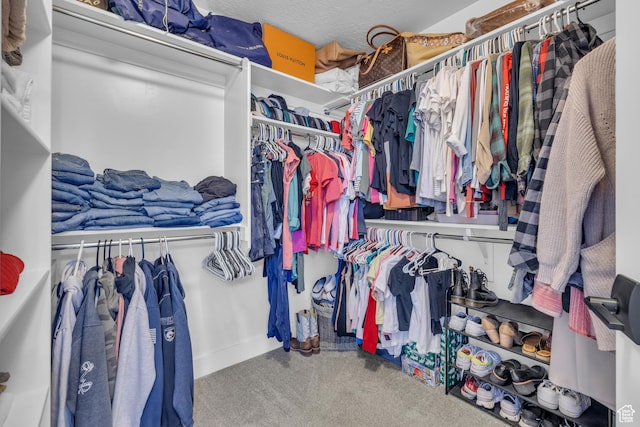 2144 S 120 E, Heber City, UT 84032 - spacious closet featuring carpet