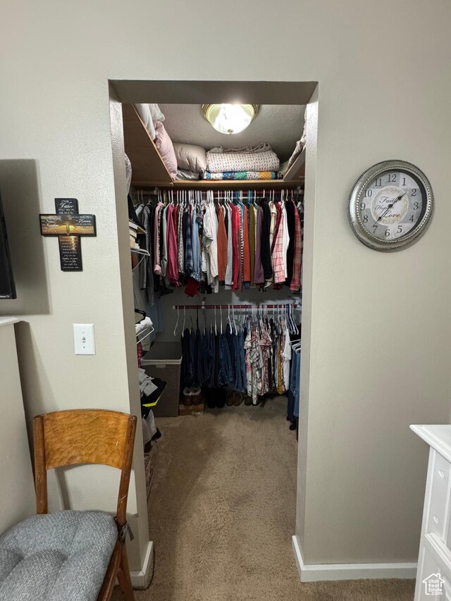 1150 W Red Hills Pkwy Unit 123, Washington, UT 84780 - walk in closet with carpet