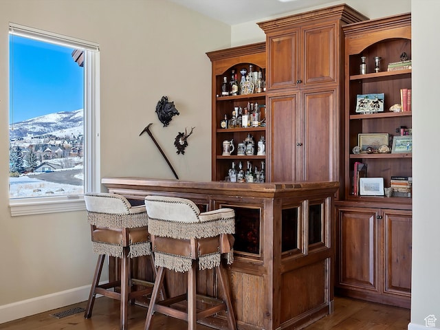 bar featuring hardwood / wood-style flooring and a mountain view