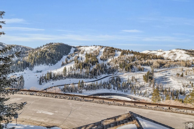 7700 Stein Way Unit 215, Park City, UT 84060 - property view of mountains