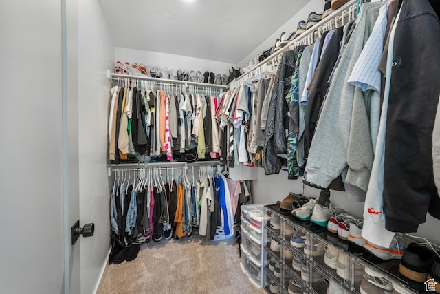 474 E Alice Way, Layton, UT 84041 - walk in closet with carpet floors