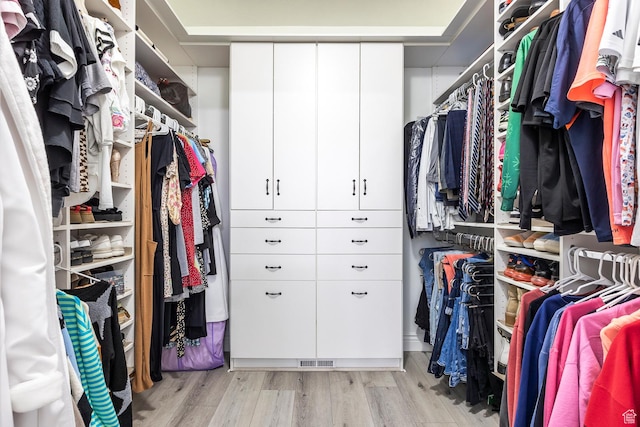 518 N 1980 E, Spanish Fork, UT 84660 - spacious closet featuring light wood-style floors and visible vents