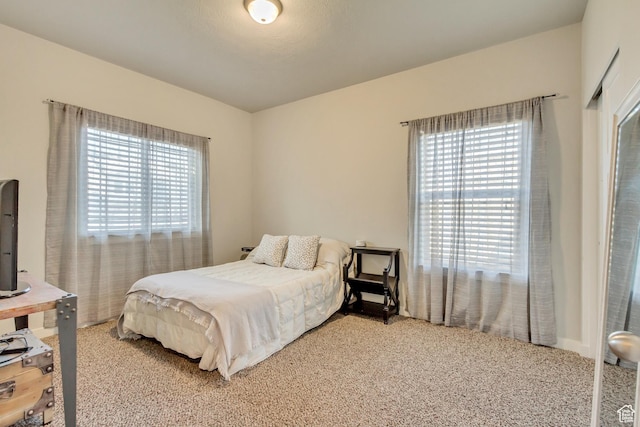 carpeted bedroom with multiple windows