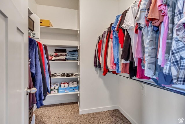 spacious closet featuring carpet floors