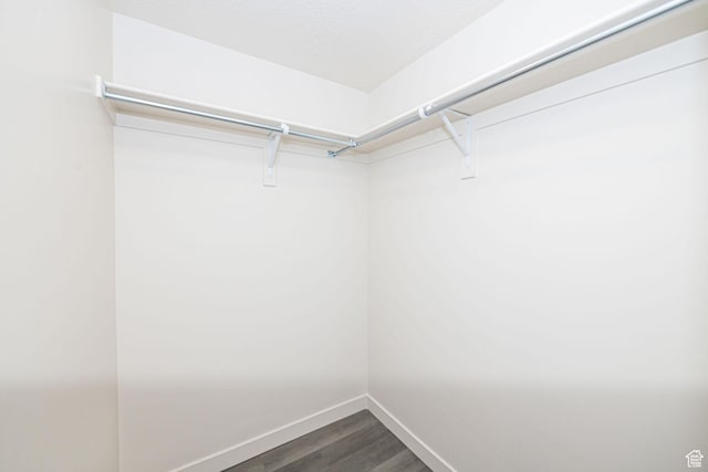 spacious closet with dark wood finished floors