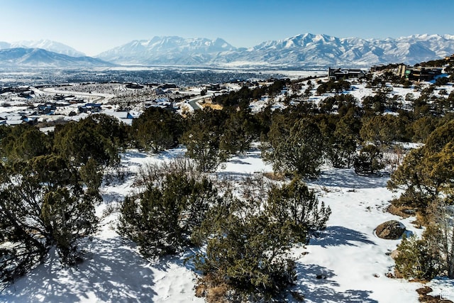 1531 N Red Castle Cir Unit 652, Heber City, UT 84032