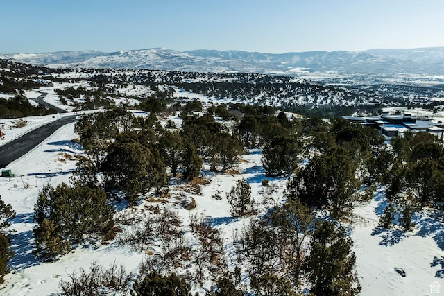 1531 N Red Castle Cir Unit 652, Heber City, UT 84032