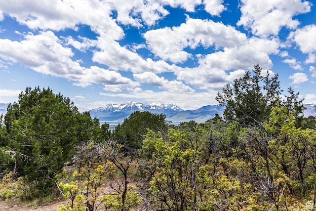 1531 N Red Castle Cir Unit 652, Heber City, UT 84032