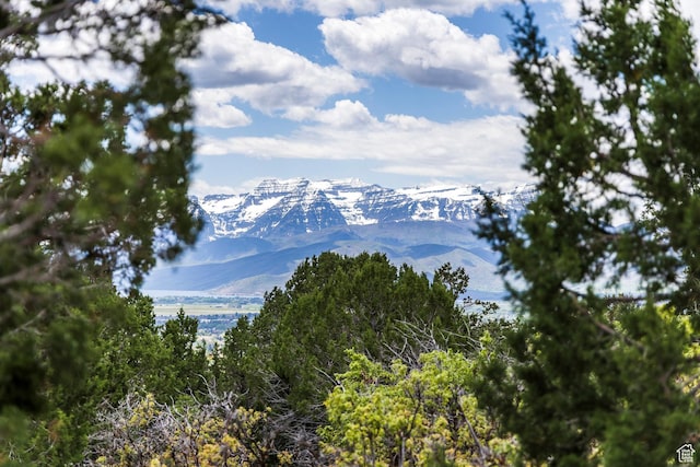 1531 N Red Castle Cir Unit 652, Heber City, UT 84032